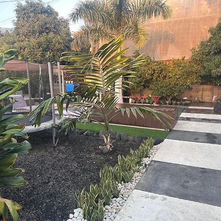 Villa Mamita Los Llanos De Aridane Εξωτερικό φωτογραφία